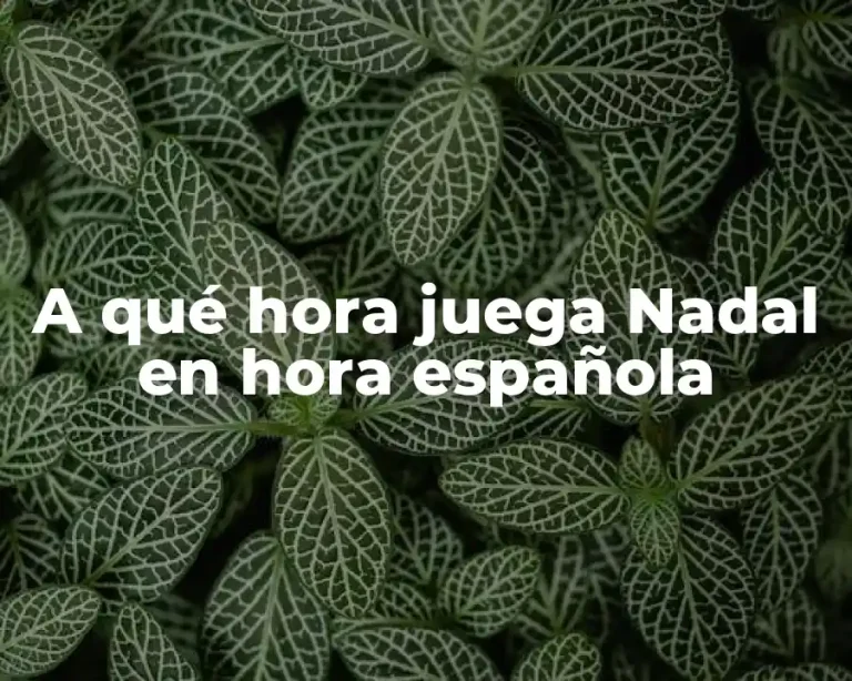 A qué hora juega Nadal en hora española