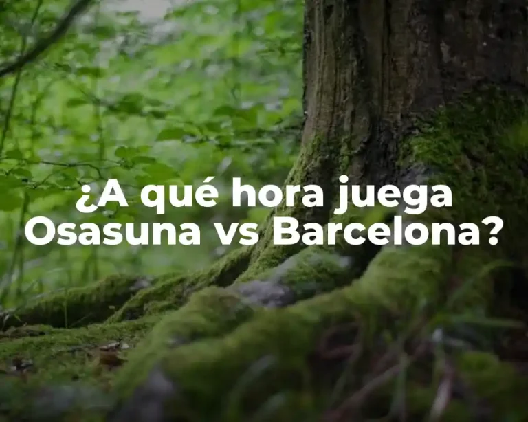 ¿A qué hora juega Osasuna vs Barcelona?