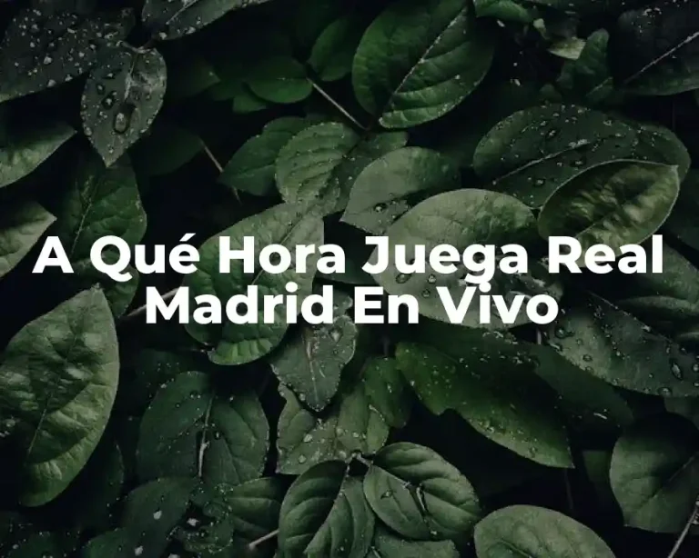 A Qué Hora Juega Real Madrid En Vivo