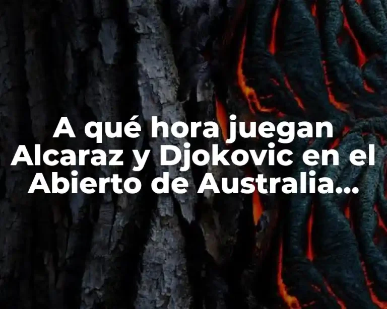 A qué hora juegan Alcaraz y Djokovic en el Abierto de Australia 2023?
