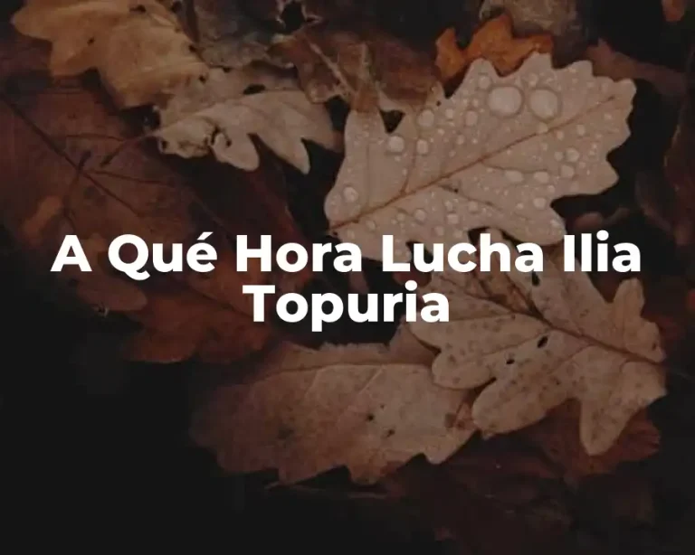 A Qué Hora Lucha Ilia Topuria