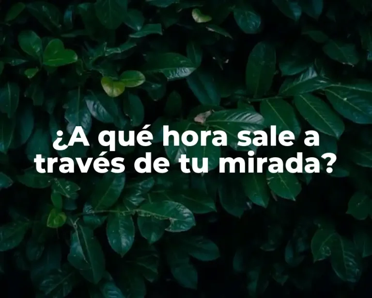 ¿A qué hora sale a través de tu mirada?