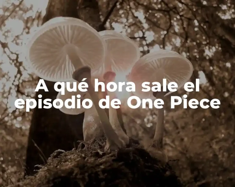 A qué hora sale el episodio de One Piece