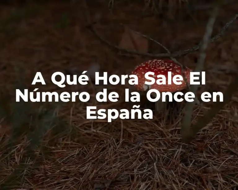 A Qué Hora Sale El Número de la Once en España
