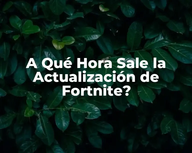 A Qué Hora Sale la Actualización de Fortnite?