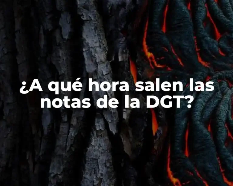 ¿A qué hora salen las notas de la DGT?