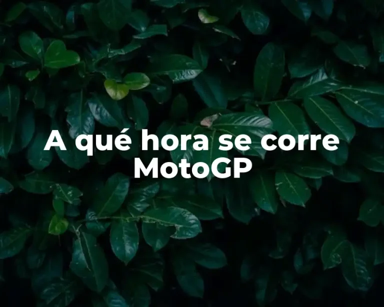 A qué hora se corre MotoGP