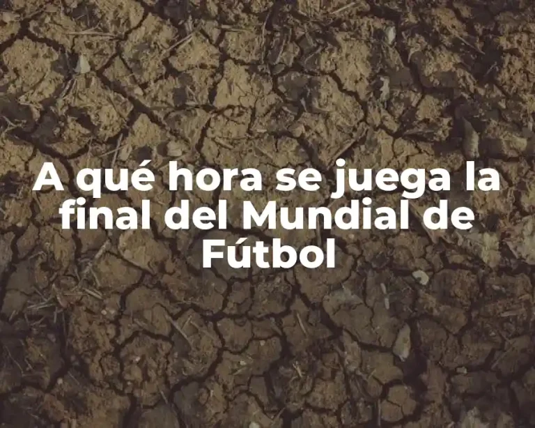 A qué hora se juega la final del Mundial de Fútbol