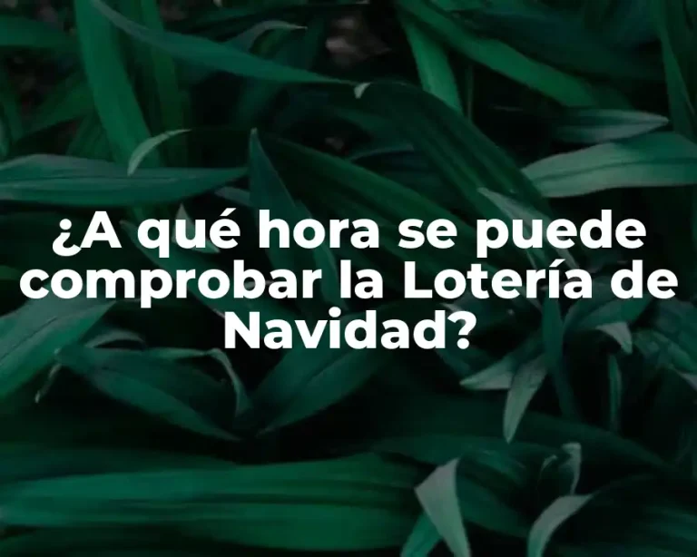 ¿A qué hora se puede comprobar la Lotería de Navidad?