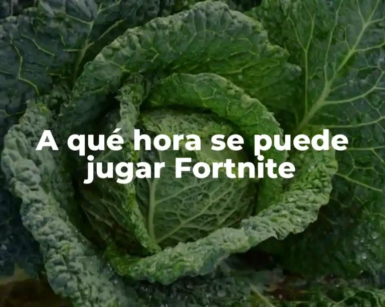 A qué hora se puede jugar Fortnite