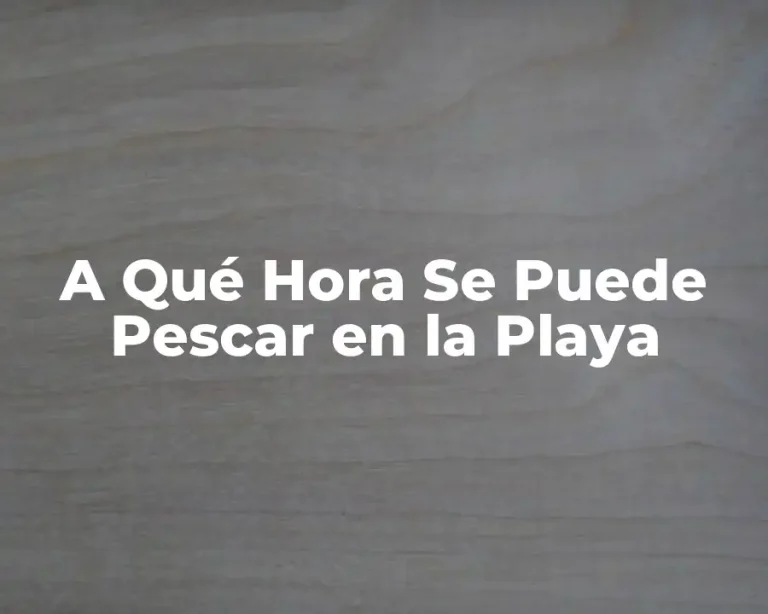 A Qué Hora Se Puede Pescar en la Playa