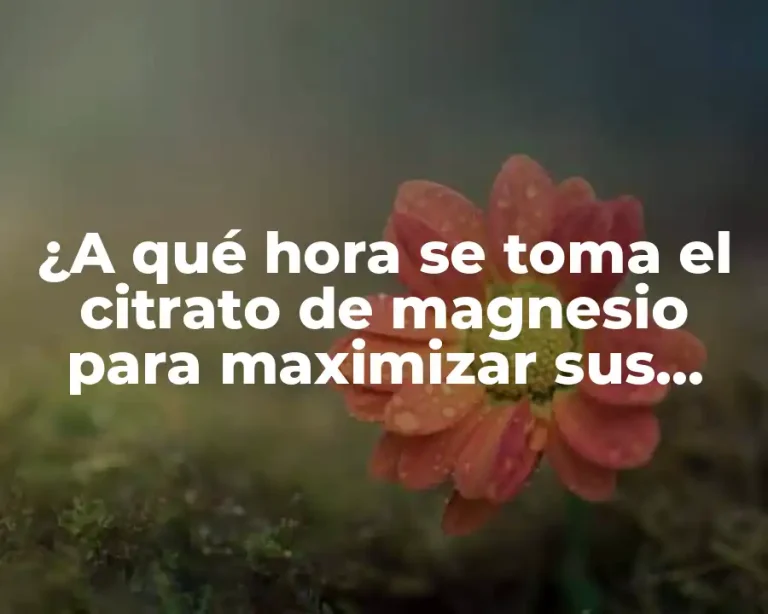 ¿A qué hora se toma el citrato de magnesio para maximizar sus beneficios?