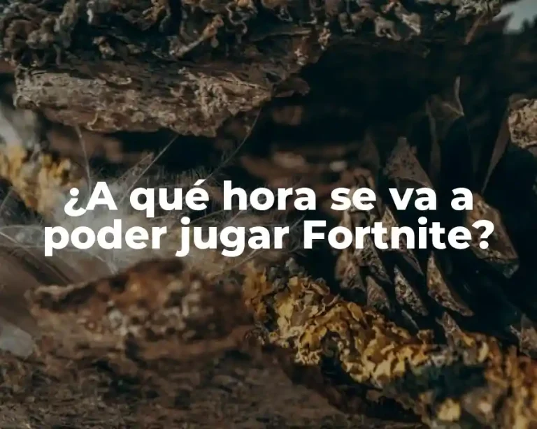 ¿A qué hora se va a poder jugar Fortnite?