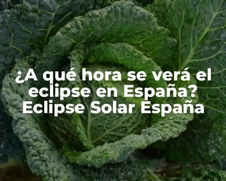 ¿A qué hora se verá el eclipse en España? Eclipse Solar España