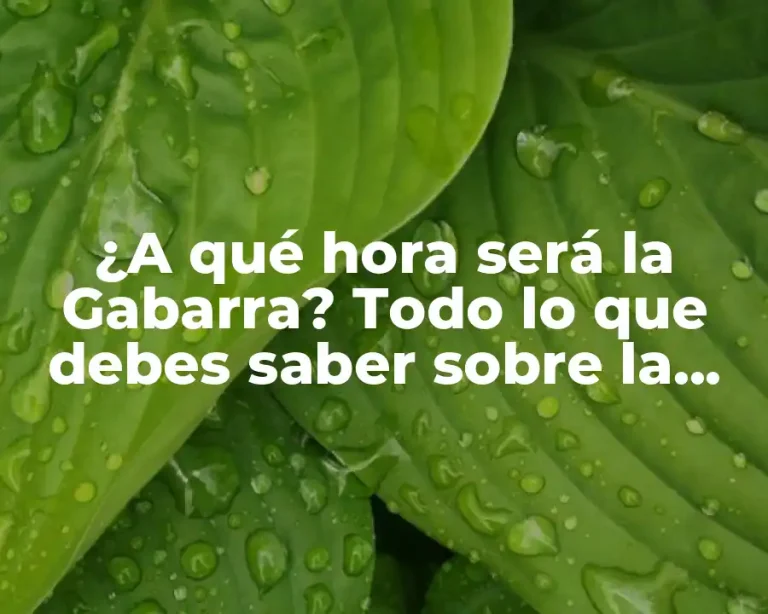 ¿A qué hora será la Gabarra? Todo lo que debes saber sobre la tradicional procesión