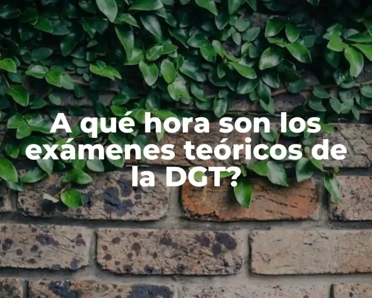 A qué hora son los exámenes teóricos de la DGT?