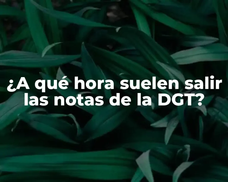 ¿A qué hora suelen salir las notas de la DGT?