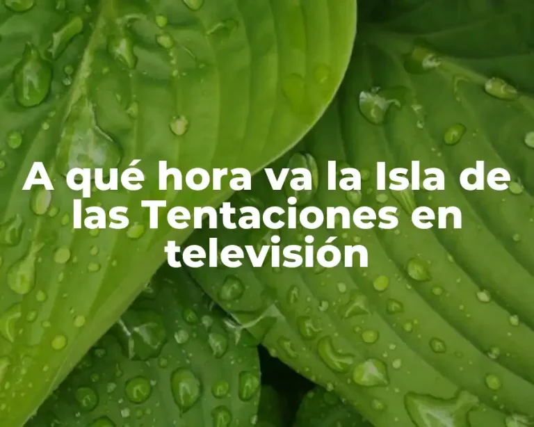 A qué hora va la Isla de las Tentaciones en televisión