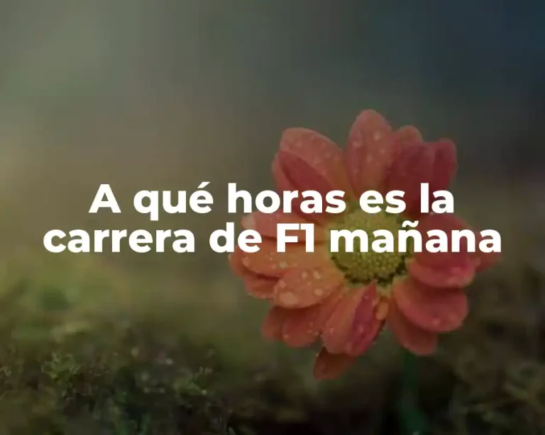 A qué horas es la carrera de F1 mañana