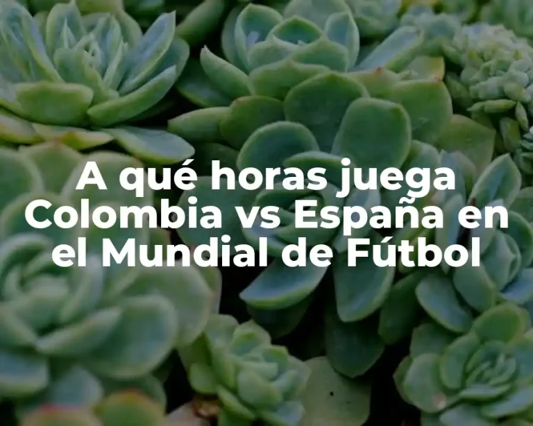 A qué horas juega Colombia vs España en el Mundial de Fútbol