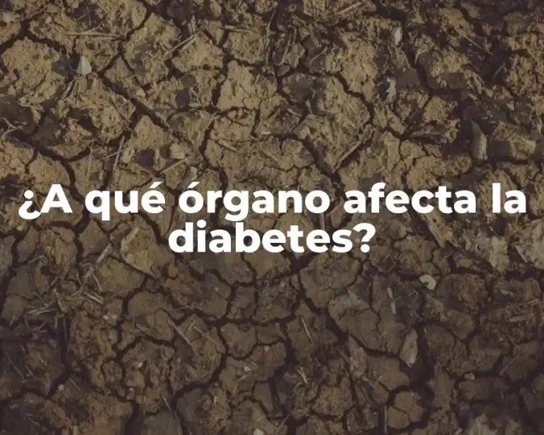 ¿A qué órgano afecta la diabetes?