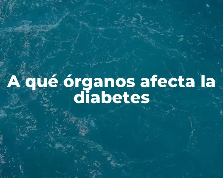 A qué órganos afecta la diabetes