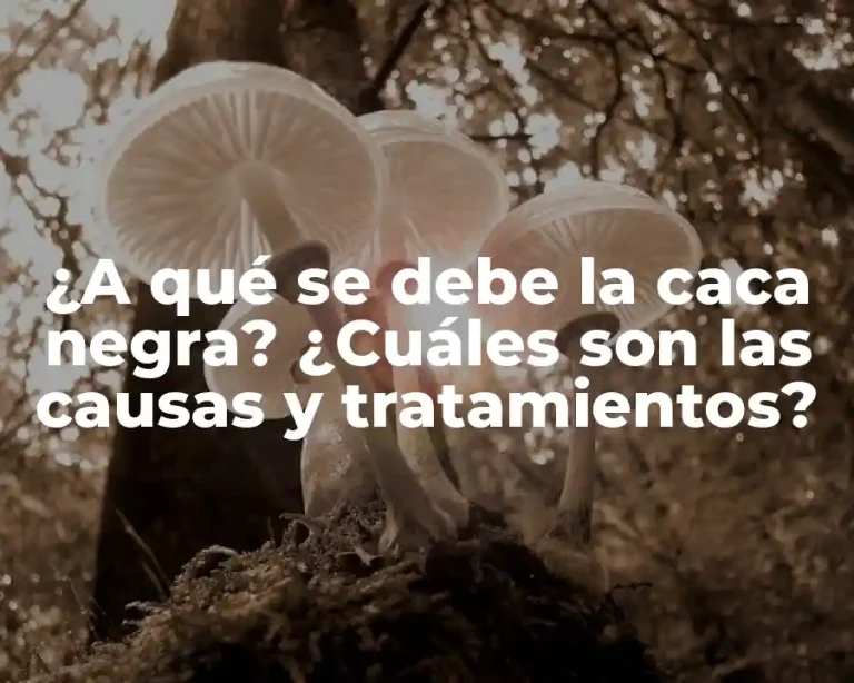 ¿A qué se debe la caca negra? ¿Cuáles son las causas y tratamientos?