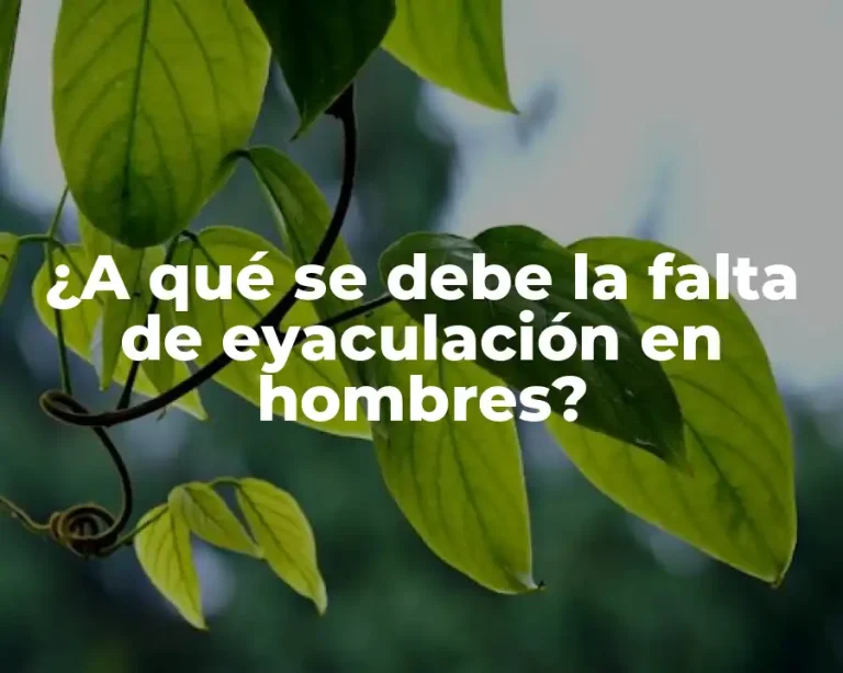 ¿A qué se debe la falta de eyaculación en hombres?