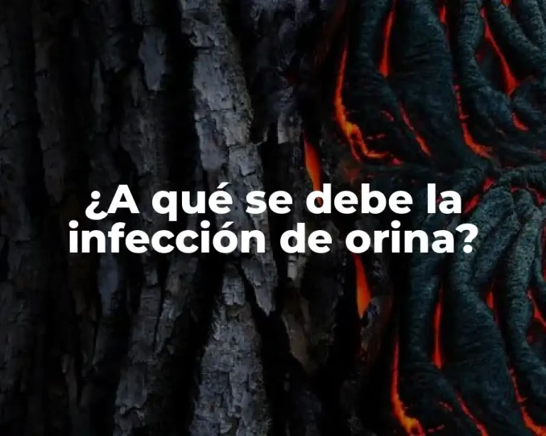 ¿A qué se debe la infección de orina?