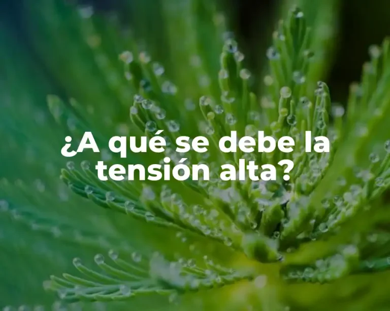 ¿A qué se debe la tensión alta?