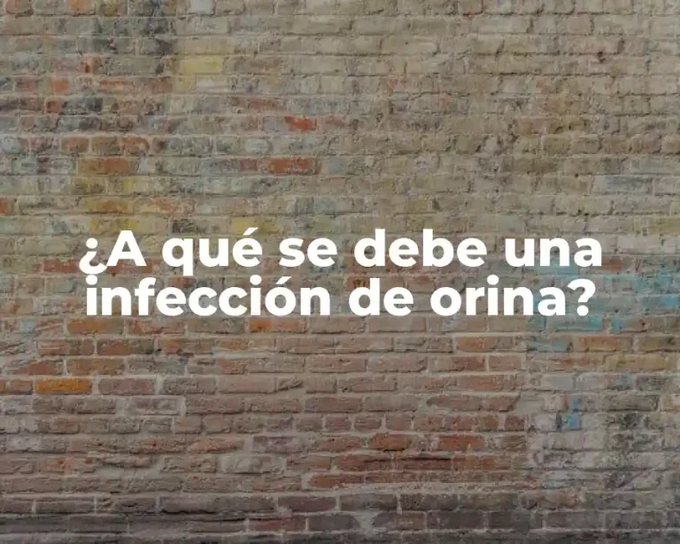 ¿A qué se debe una infección de orina?