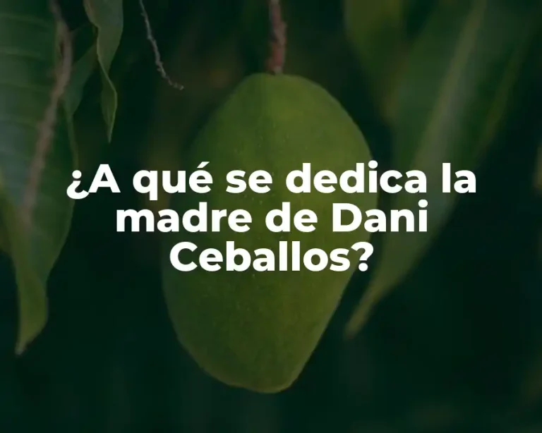 ¿A qué se dedica la madre de Dani Ceballos?