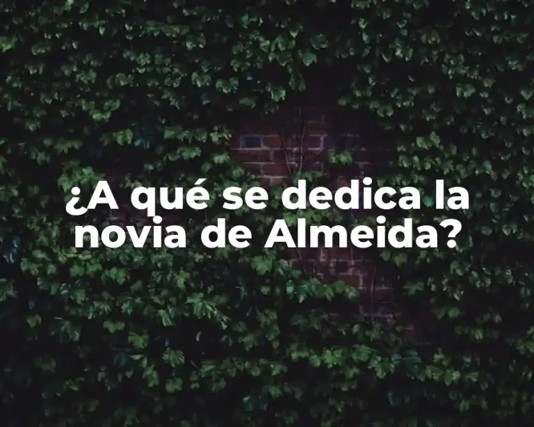 ¿A qué se dedica la novia de Almeida?
