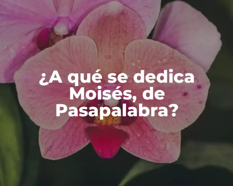 ¿A qué se dedica Moisés, de Pasapalabra?