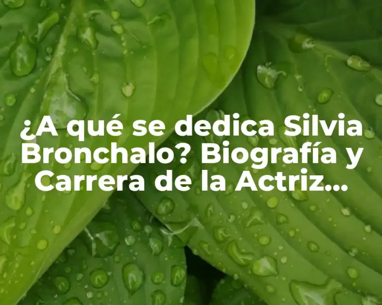 ¿A qué se dedica Silvia Bronchalo? Biografía y Carrera de la Actriz Española
