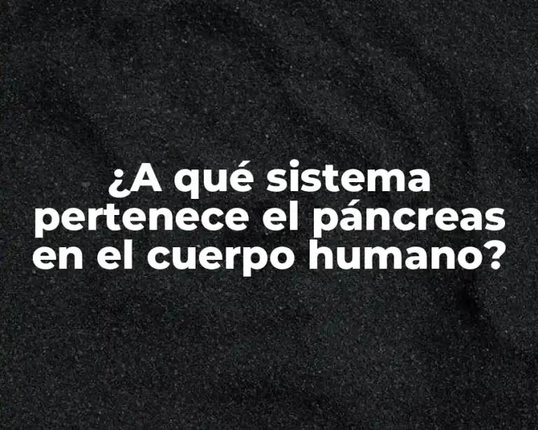 ¿A qué sistema pertenece el páncreas en el cuerpo humano?