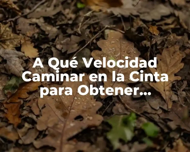 A Qué Velocidad Caminar en la Cinta para Obtener Rendimiento óptimo