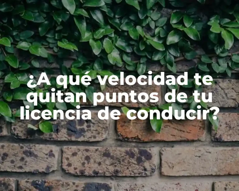 ¿A qué velocidad te quitan puntos de tu licencia de conducir?