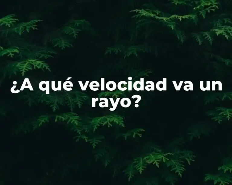 ¿A qué velocidad va un rayo?