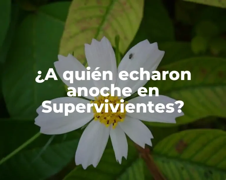¿A quién echaron anoche en Supervivientes?