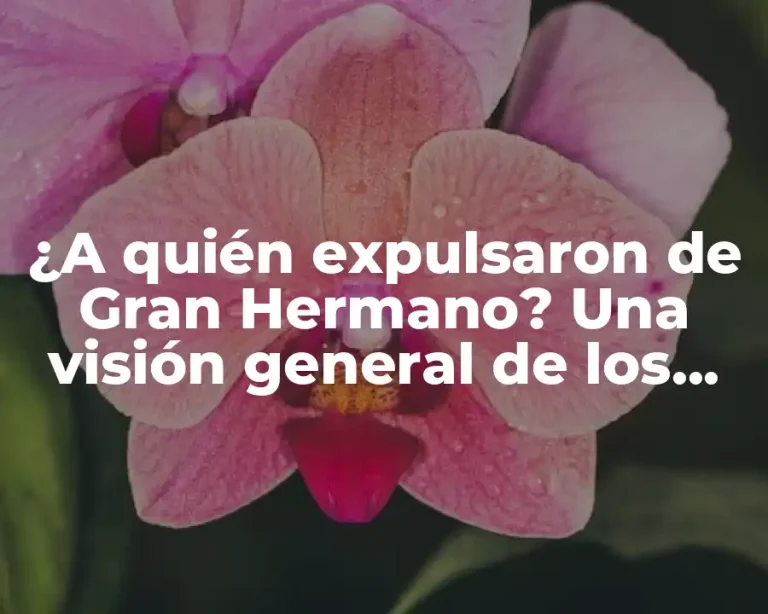 ¿A quién expulsaron de Gran Hermano? Una visión general de los expulsados del reality show
