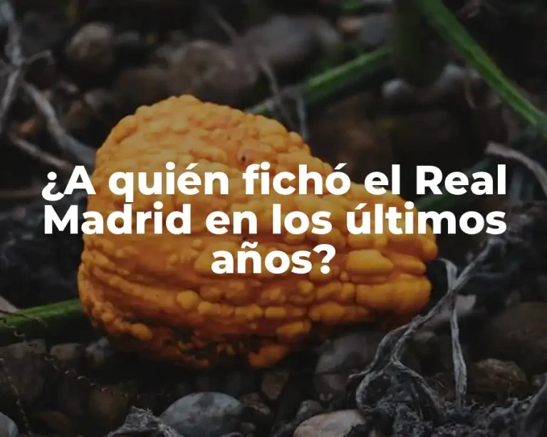 ¿A quién fichó el Real Madrid en los últimos años?