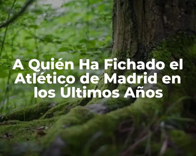 A Quién Ha Fichado el Atlético de Madrid en los Últimos Años