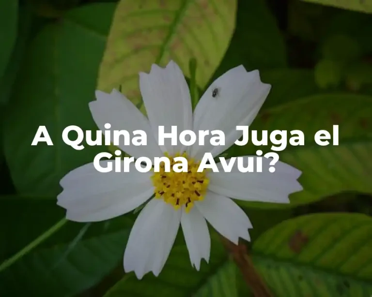A Quina Hora Juga el Girona Avui?