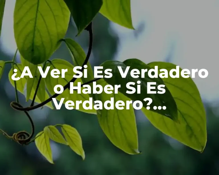 ¿A Ver Si Es Verdadero o Haber Si Es Verdadero? Desmitificando la Expresión