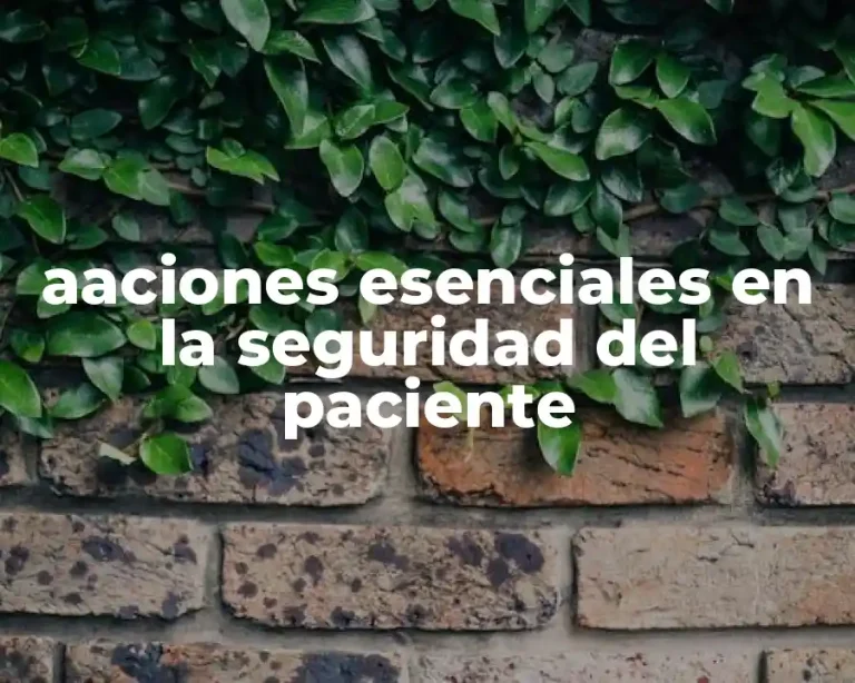 aaciones esenciales en la seguridad del paciente