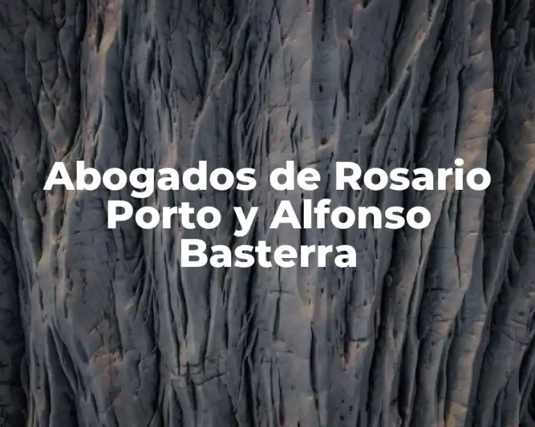 Abogados de Rosario Porto y Alfonso Basterra