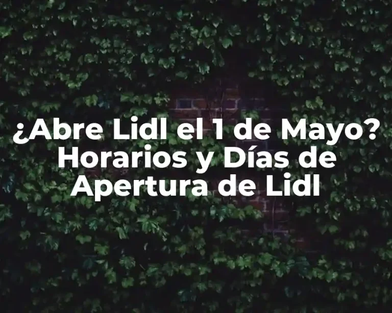 ¿Abre Lidl el 1 de Mayo? Horarios y Días de Apertura de Lidl