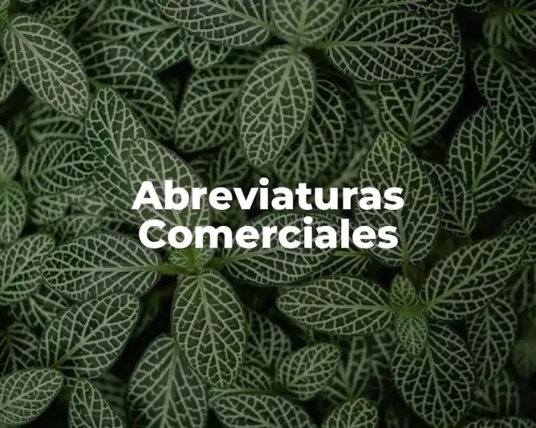 Abreviaturas Comerciales