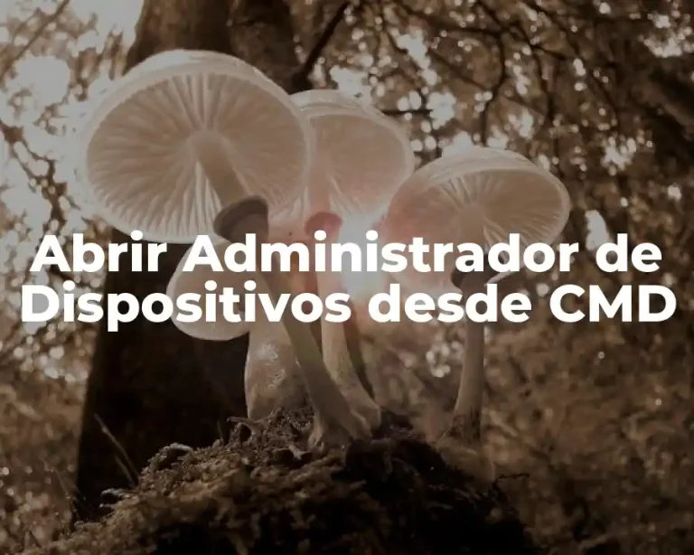 Abrir Administrador de Dispositivos desde CMD